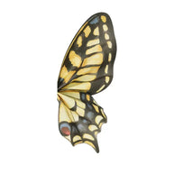 Butterfly Wings Wrapping Paper - 10 sets - Yellow - Prismribbons