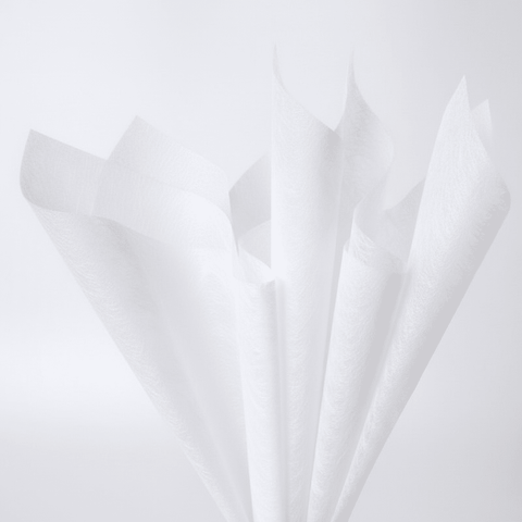 Tissue Wrapping Paper - 10 Sheets - Prismribbons