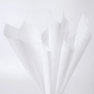 Tissue Wrapping Paper - 10 Sheets - Mango - Prismribbons
